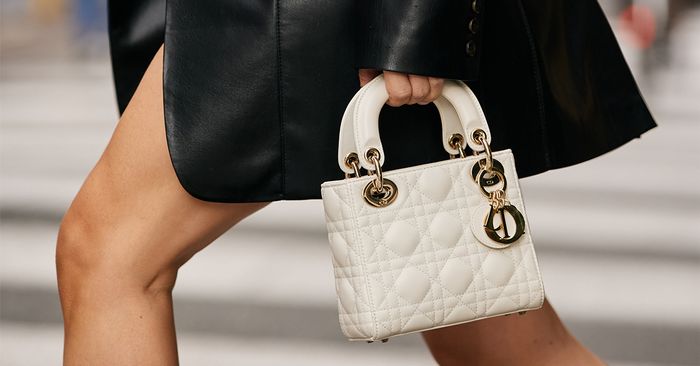 The 10 Best Dior Bags for Women of all ages in 2022